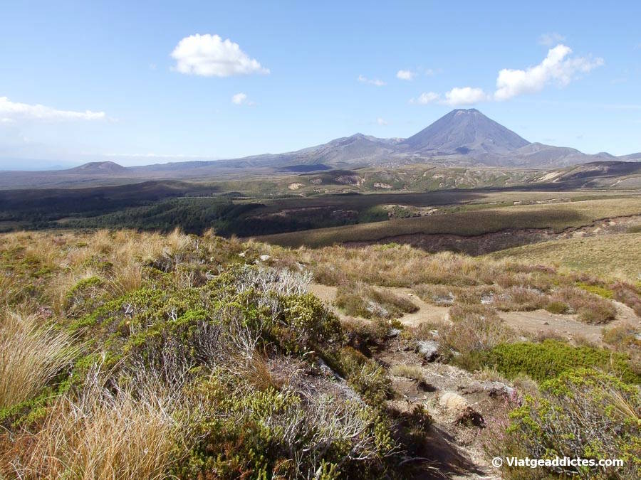 Vista sobre els volcans Mt Ngauruhoe i Mt Tonagriro (Tongariro National Park, illa Nord de Nova Zelanda) Vista sobre els volcans Mt Ngauruhoe i Mt Tonagriro (Tongariro National Park, illa Nord de Nova Zelanda)