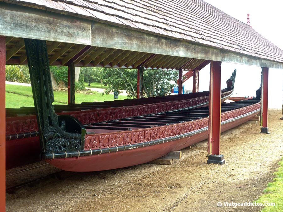 «Waka taua» o canoes de guerra tradicionals maoris (Waitangi National Trust, illa Nord de Nova Zelanda) «Waka taua» o canoes de guerra tradicionals maoris (Waitangi National Trust, illa Nord de Nova Zelanda)