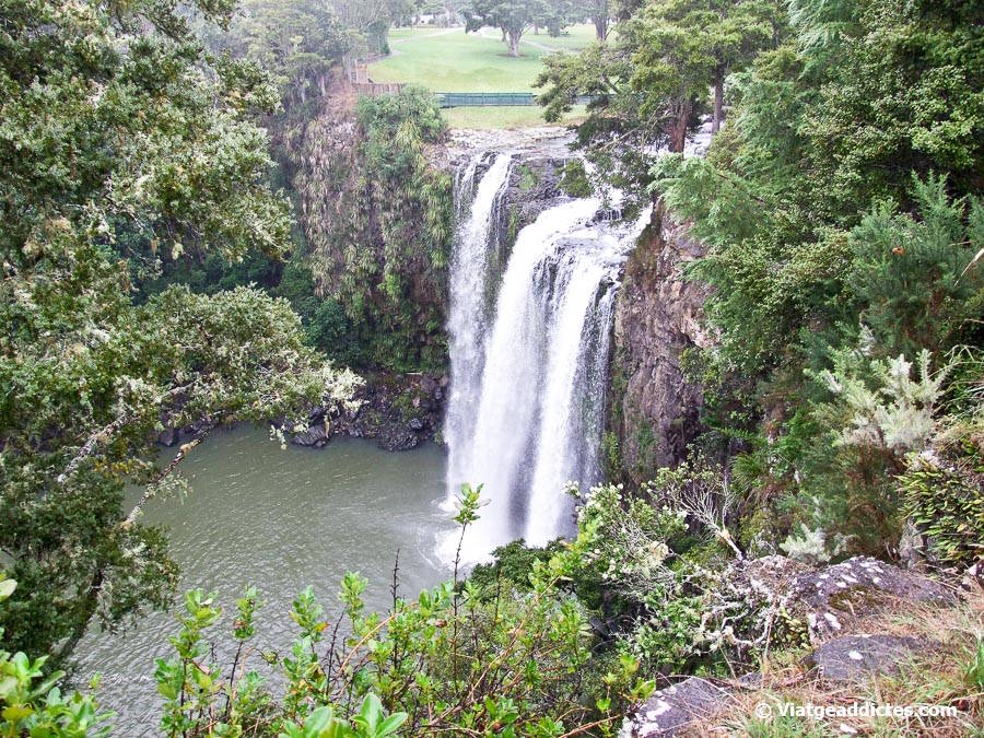 Les cascades Whangarei (Whangarei, illa Nord de Nova Zelanda) Les cascades Whangarei (Whangarei, illa Nord de Nova Zelanda)