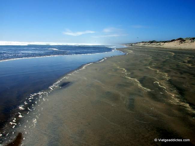 Imatge de la famosa Ninety Mile Beach, tot i que només en fa 55 de llarg (88,5 km) 