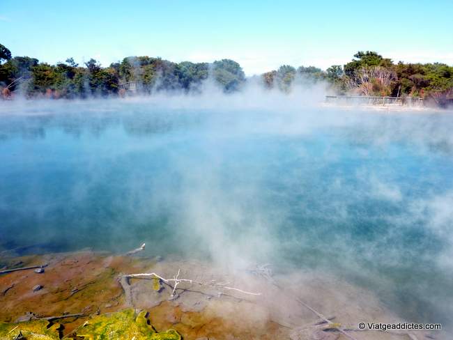 Una de las múltiples piscinas geotermales del parque Kuirau de Rotorua