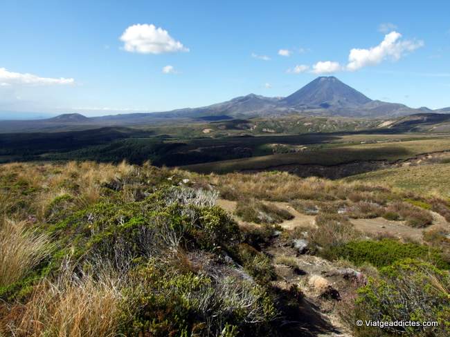 Bello paisaje volcánico en el Tongariro N.P.