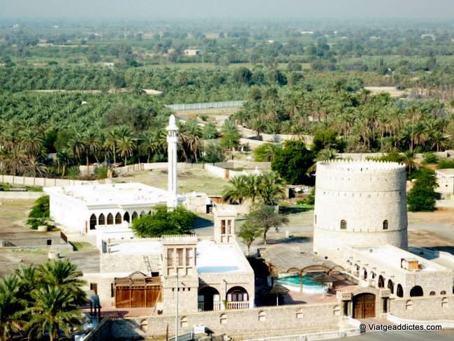 Torre de vigía y palmerales de Khatt