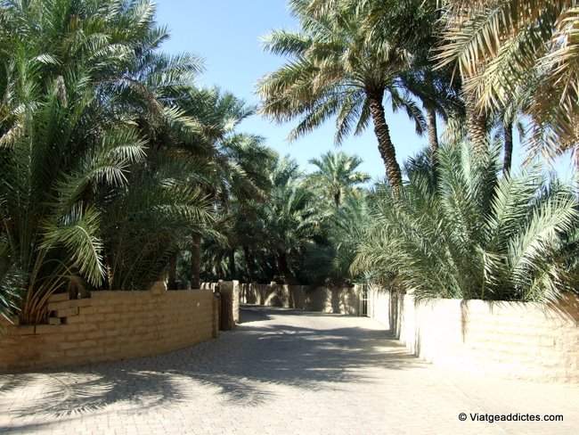 Interior del Oasis de Al Ain