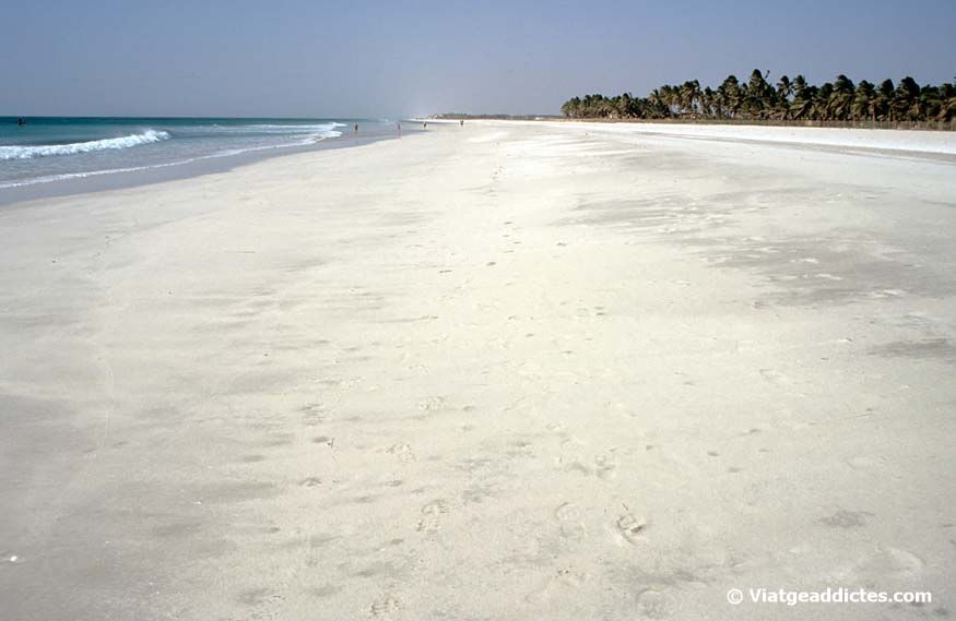 Playa solitaria de arena blanca en Salalah