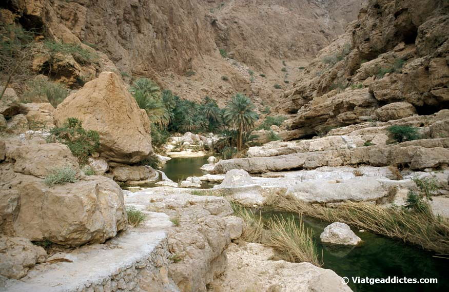 Recooriendo el maravilloso Wadi Shab