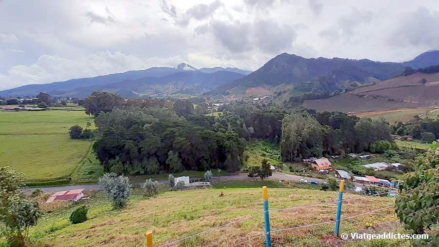 Vista des del cim de Cerro Punta (Guadalupe/Bambito)