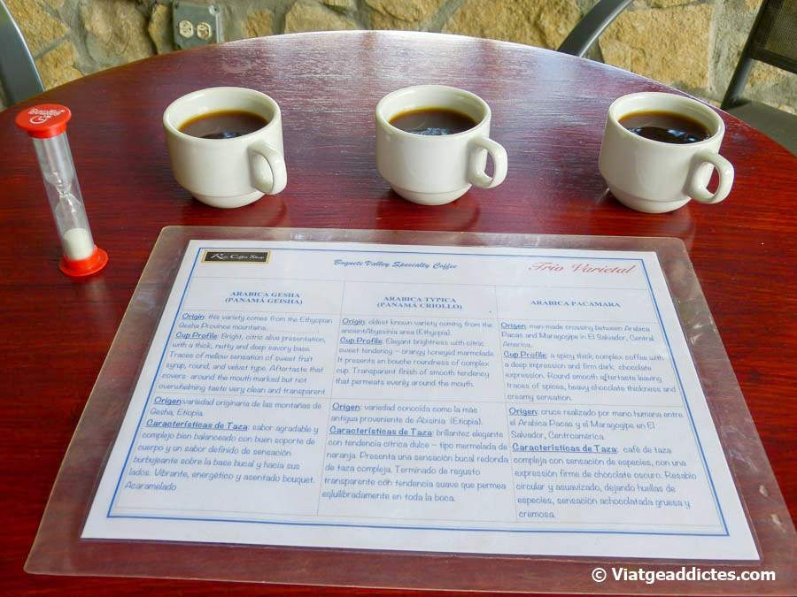 Degustació dels cafès Arabica Gesha, Typica i Pacamara<br />(Cafés Ruiz - Boquete Bajo)