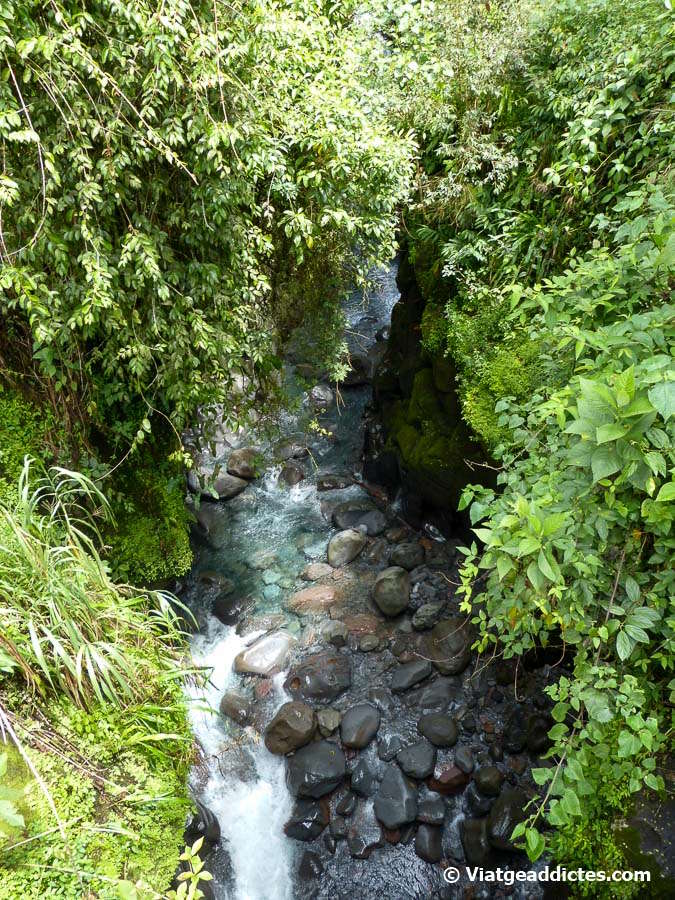 Entrada al cañón que forma el río Macho Monte (Cuesta de Piedra)
