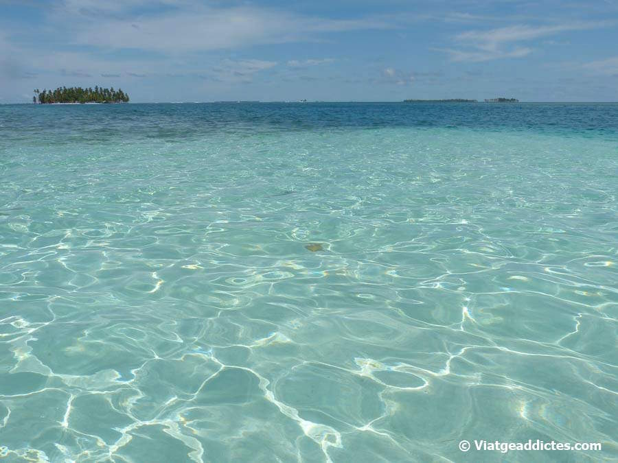 La increible piscina natural d'estrelles de mar (Guna Yala)