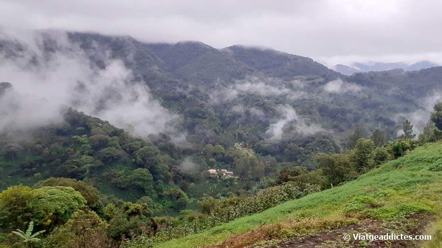 Vista sobre la vall del riu Caldera malgrat els núvols de pluja (P. N. Volcán Barú)