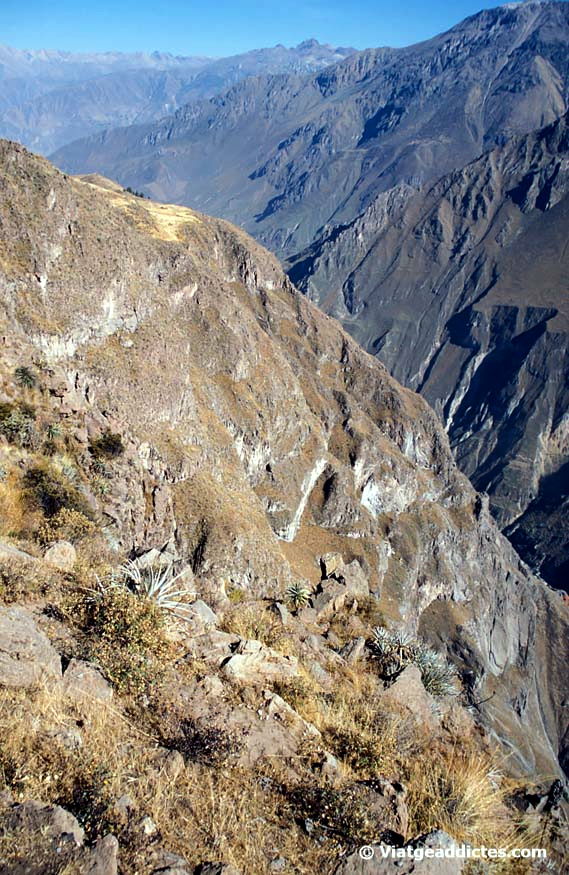 Vista del Canyó del Colca des del mirador Cruz del Cóndor