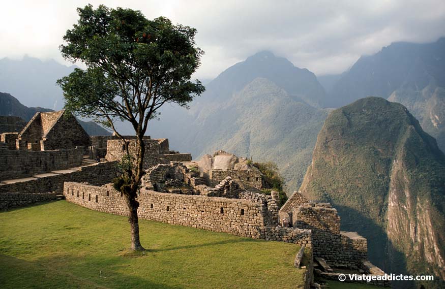 Imagen de la ciudadela del Machu Picchu