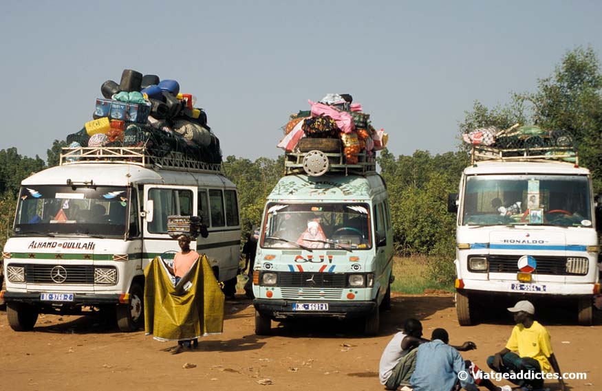Autobusos esperant el ferri per creuar el riu Gàmbia
