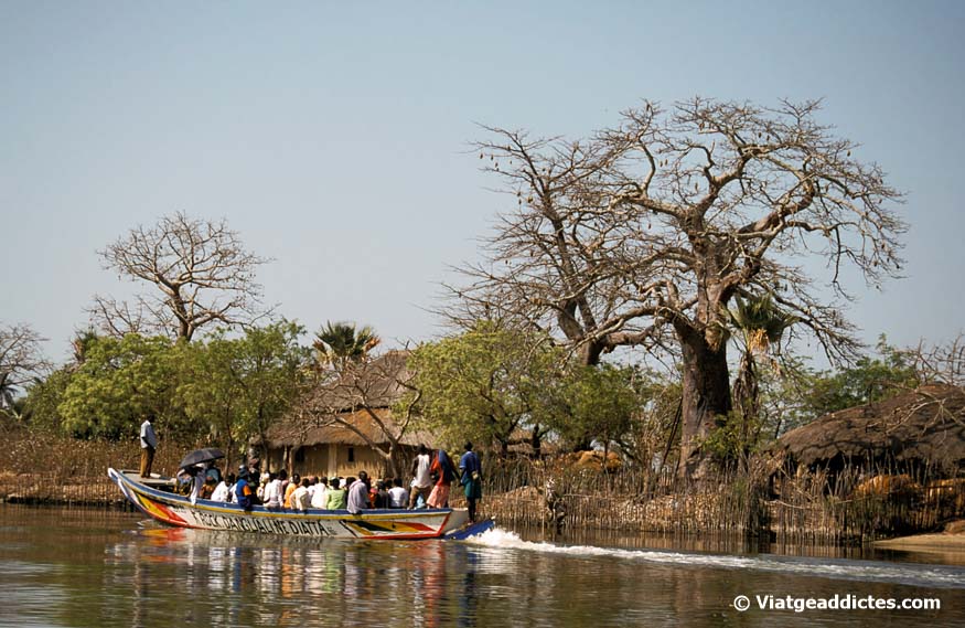 Transport fluvial pel riu Casamance (Alta Casamance)