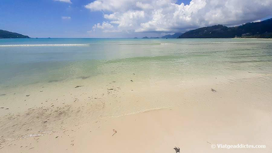 La playa de Anse à la Mouche (Mahé)