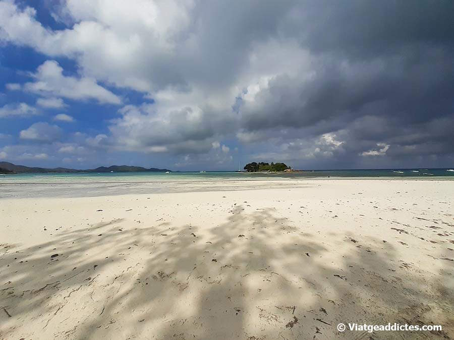 La platja d'Anse Volbert  i la petita illa de Chauve Souris (Praslin)