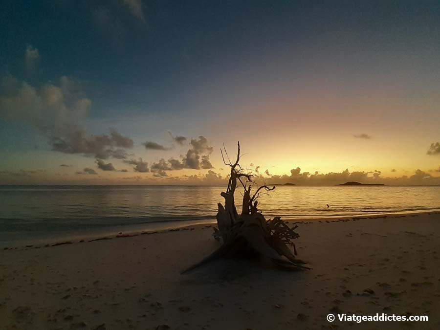 Puesta de sol desde la playa de Grand Anse (Praslin)