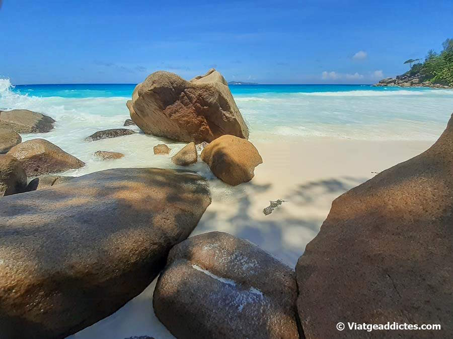 Roques en la platja d'Anse Georgette (Praslin)