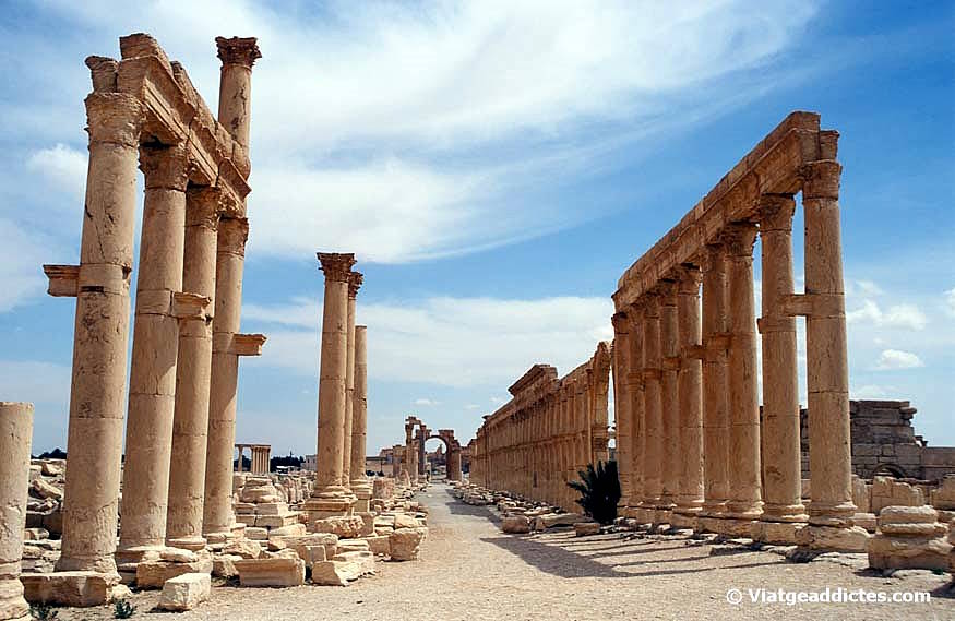 L'avinguda de les columnes de Palmira