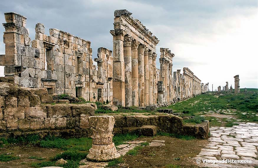 Carrer principal de l'antiga ciutat greco-romana d'Apamea