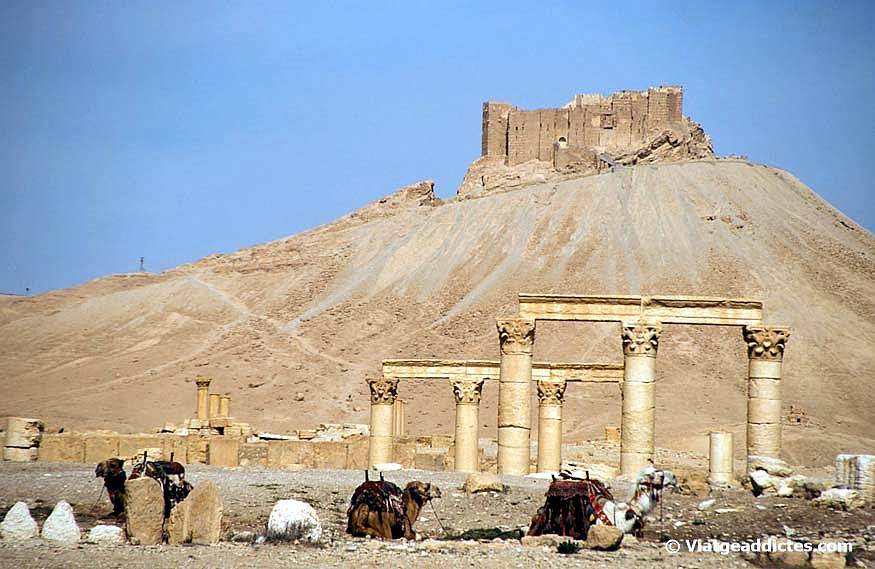 Palmira y el castillo árabe de Qala'at ibn-Maan