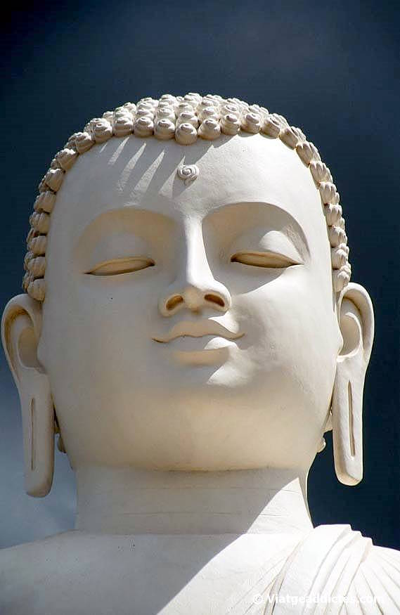 Imatge de l'enorme Buda de Mihintale