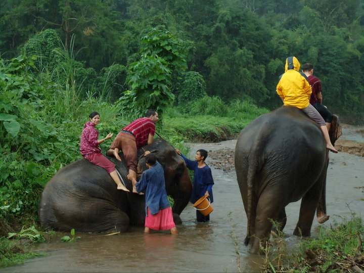 Netejant els elefants al riu