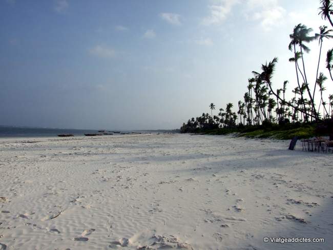 Playa de Matemwe al caer la tarde (Zanzíbar)