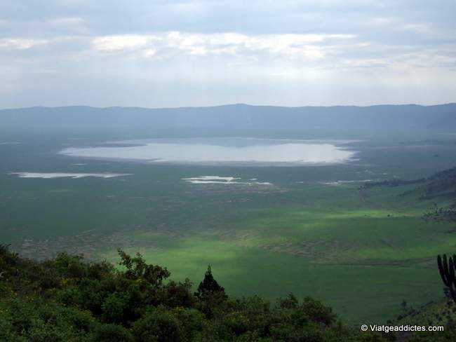Vista hacia el interior del cráter (P. N. Ngorongoro)