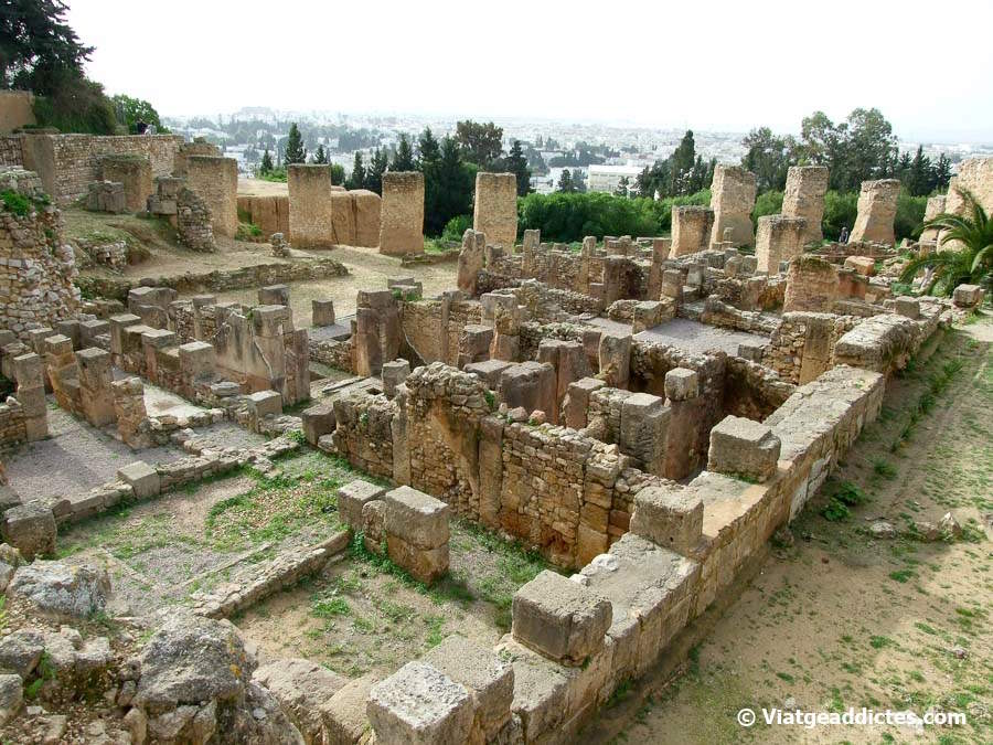 Ruïnes de l'antiga ciutat de Cartago, amb Tunis al fons
