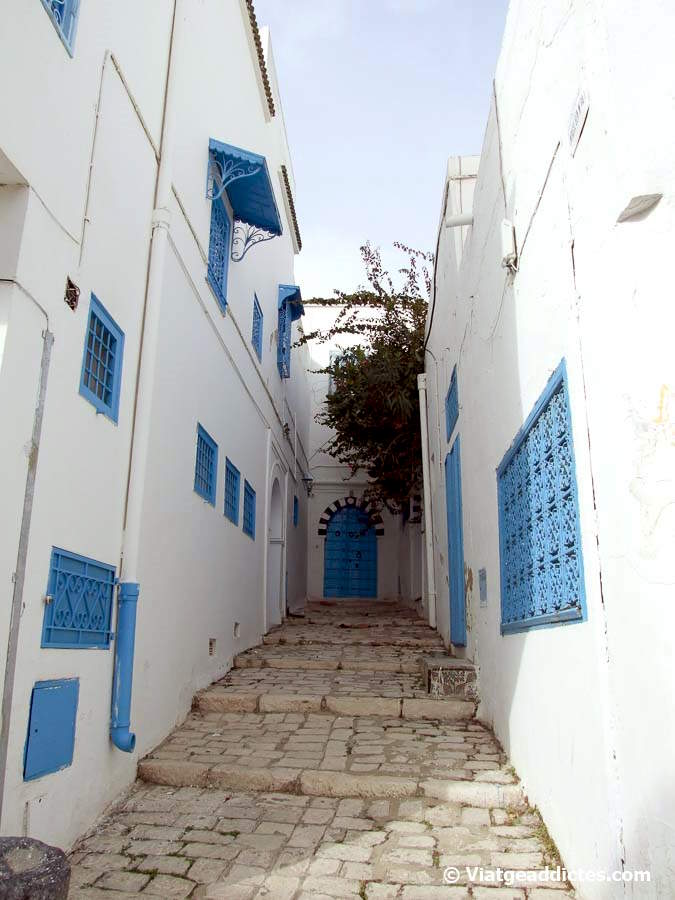 Petit carreró de la ciutat vella de Sidi Bou Saïd