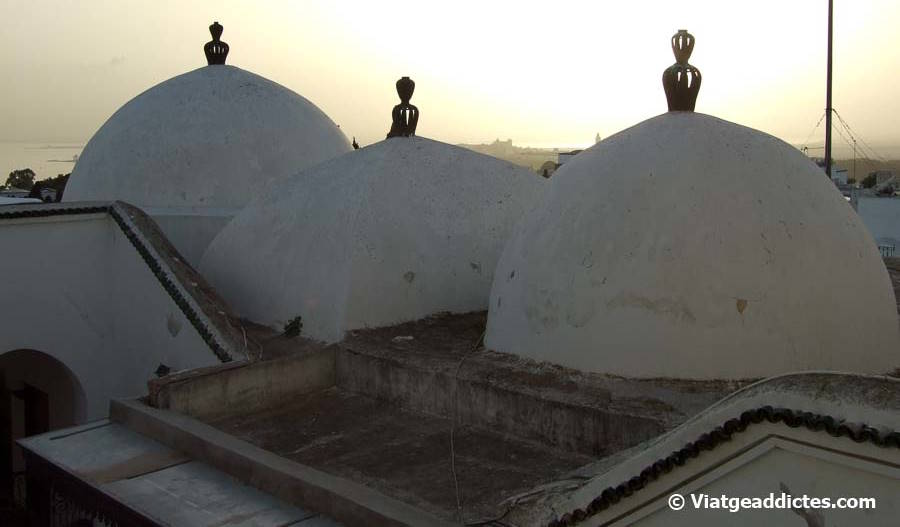 Cúpules  de la mesquita Zaouia Shan (Sidi Bou Saïd)
