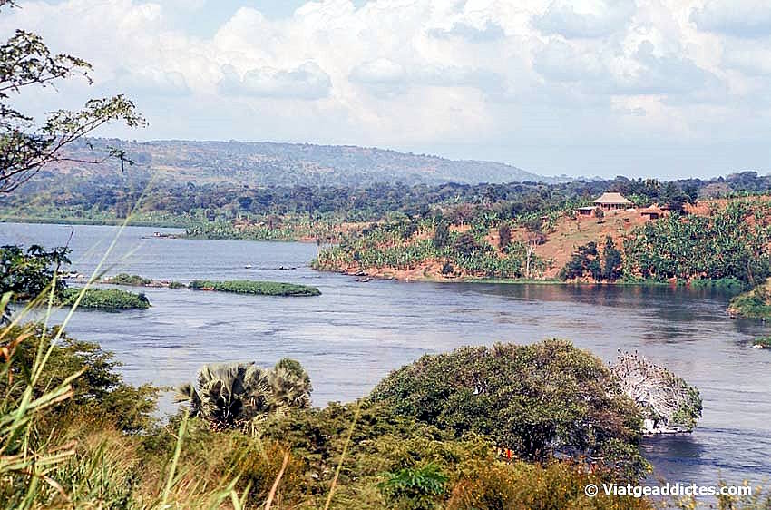 Las fuentes del Nilo a la entrada del lago Victoria (Jinja)