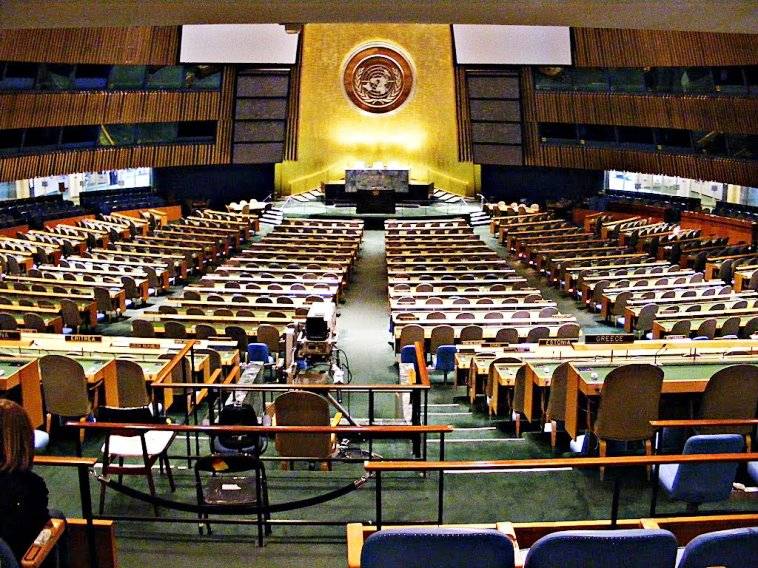 Asamblea General de las Naciones Unidas (ONU)