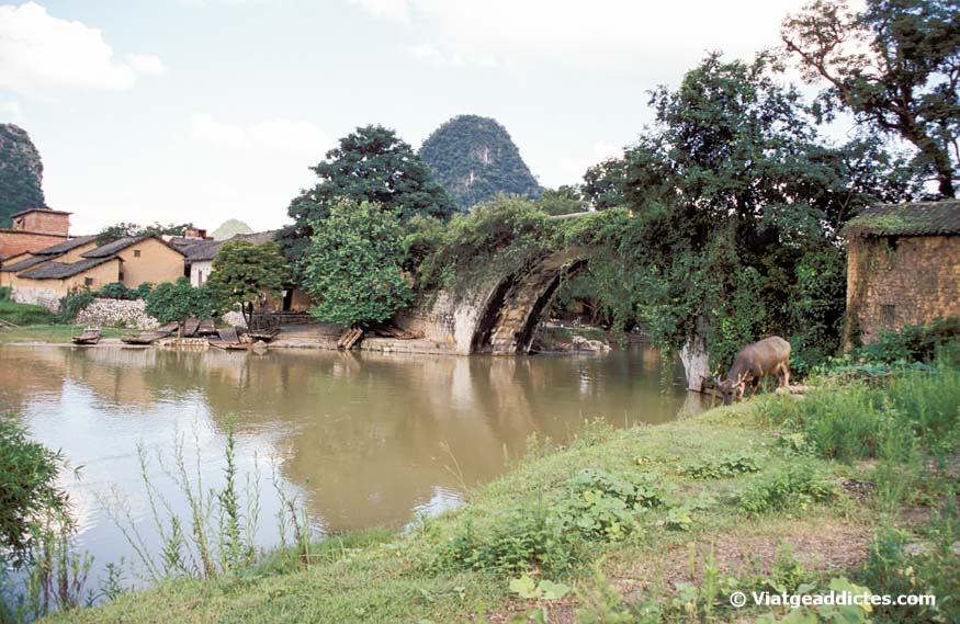 El puente Yulong Qiao sobre el río Yulong