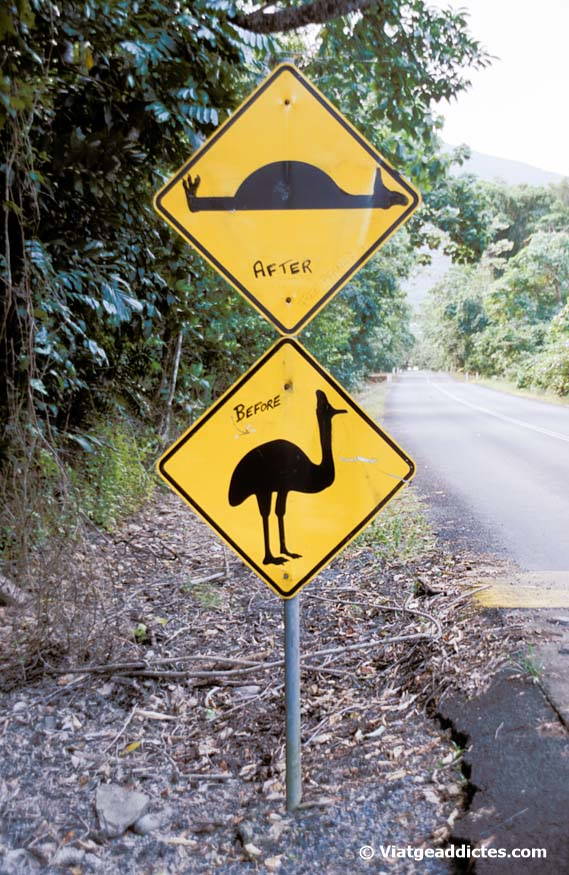 Daintree (Australia). A good and clever example of Australian black humour about the cassowary