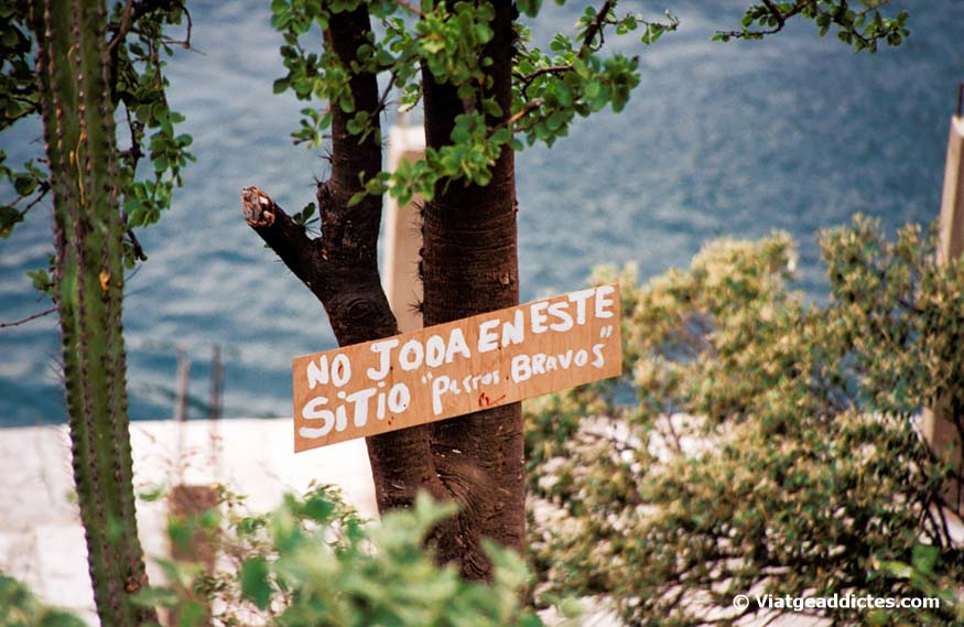 Taganga (Colombia). The sign says: �No fucking in this place. Fierce dogs�. So, you are advised...!!