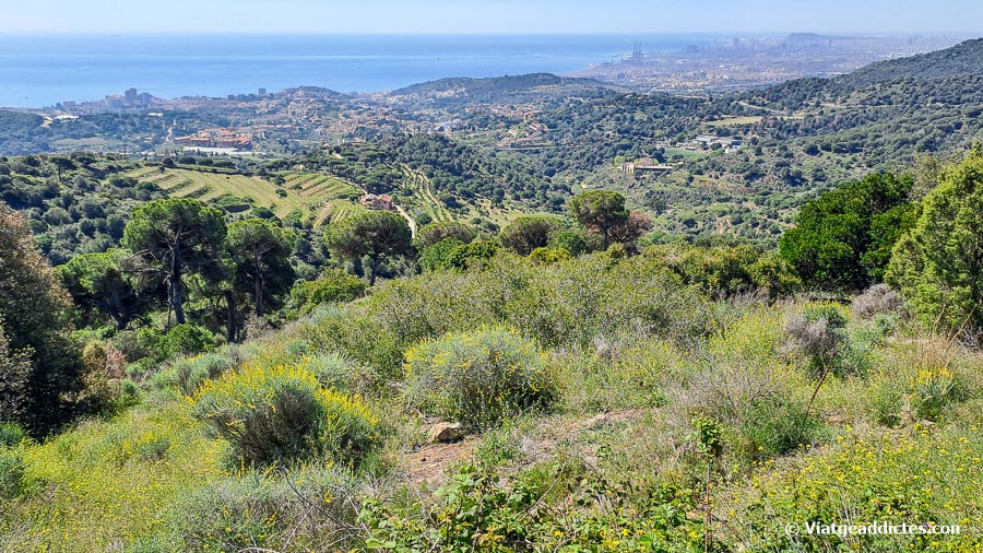 Vistes des del turó d'en Galzeran cap al sud-est