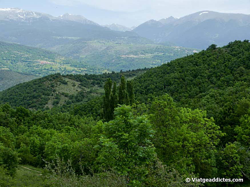 Vista de la Cerdanya y el Pirineo desde el camino de Béixec a Estana