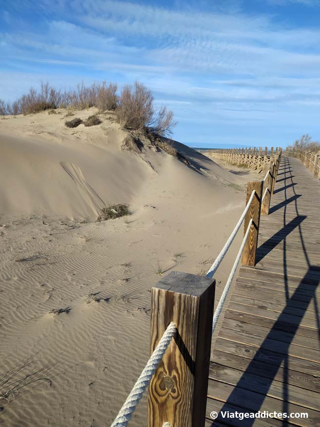 Dunas de arena en la playa de Riumar